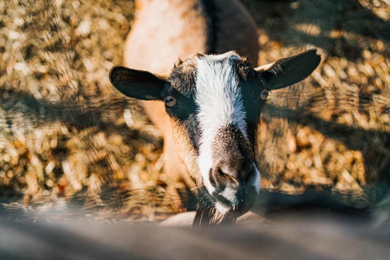 La Tenuta Di Santo Stefano Agri Resort & Spa Fossano Dış mekan fotoğraf