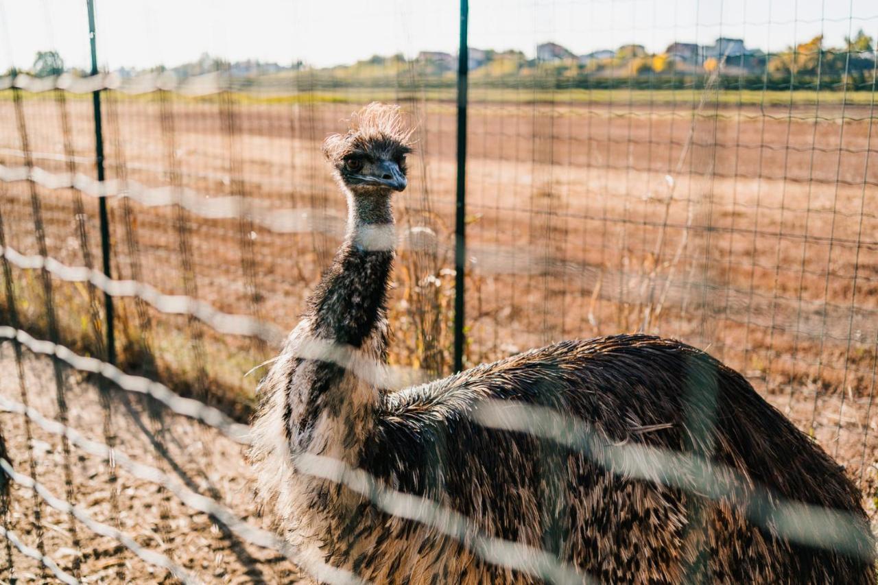 La Tenuta Di Santo Stefano Agri Resort & Spa Fossano Dış mekan fotoğraf
